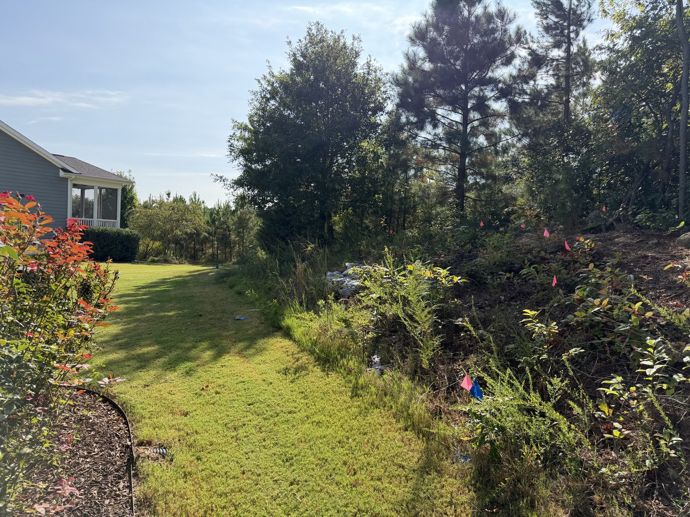 Overgrown brush on a sloped side yard before landscaping