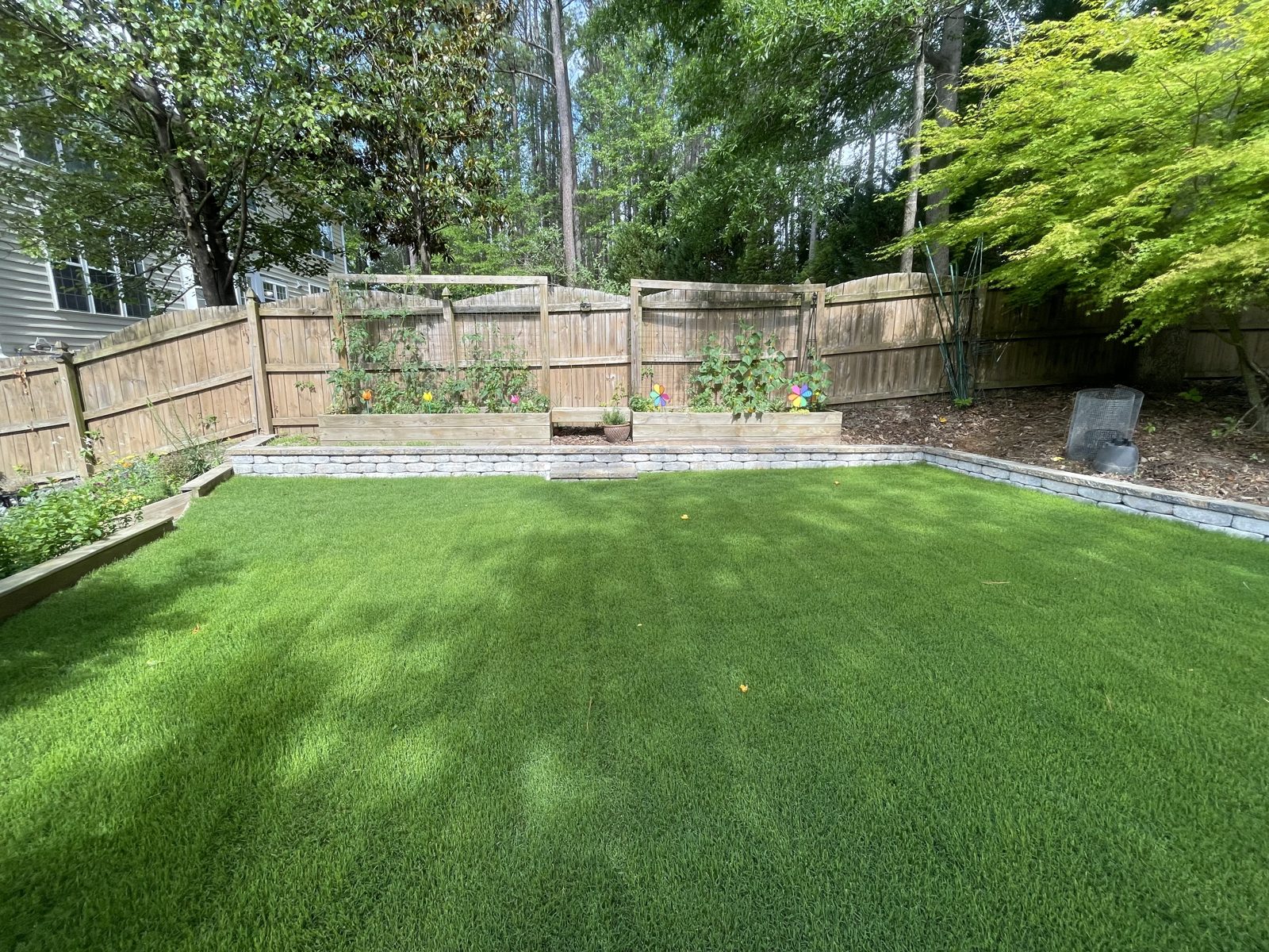 Sod install grown in thick and even