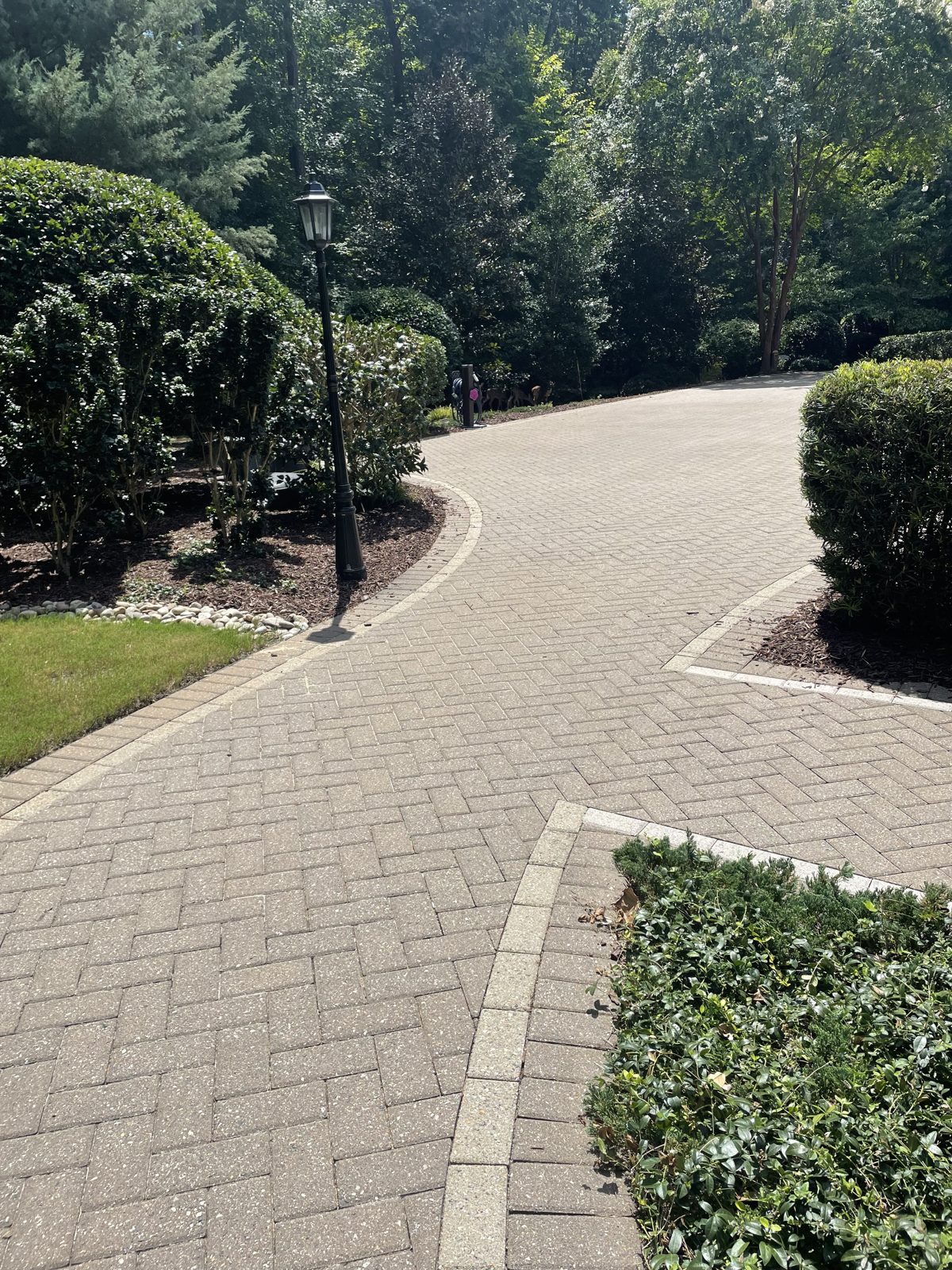 Curving paver driveway through mature landscaping